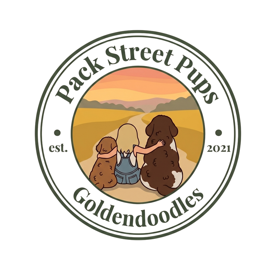 Pack Street Pups Goldendoodles