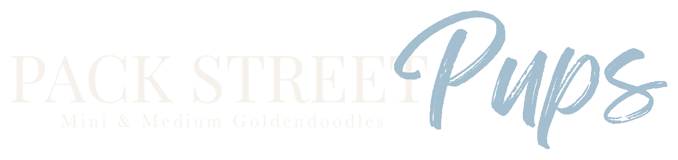 Pack Street Pups — Mini & Medium Goldendoodles